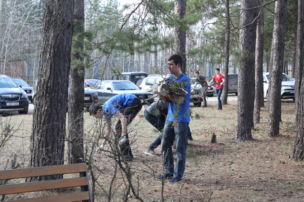 Помощь старшему поколению