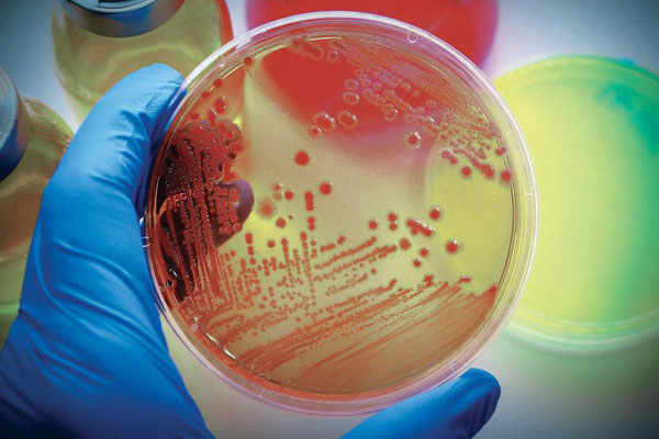 ПРИГЛАШАЕМ К УЧАСТИЮ ВО ВСЕРОССИЙСКОЙ НАУЧНО-ПРАКТИЧЕСКОЙ КОНФЕРЕНЦИИ «ФУНДАМЕНТАЛЬНЫЕ И ПРИКЛАДНЫЕ АСПЕКТЫ МИКРОБИОЛОГИИ В НАУКЕ И ОБРАЗОВАНИИ»