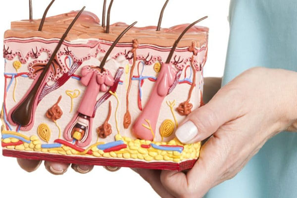 ПОДВЕДЕНЫ ИТОГИ ОЛИМПИАДЫ ПО ДЕРМАТОВЕНЕРОЛОГИИ И ИНФЕКЦИОННЫМ БОЛЕЗНЯМ