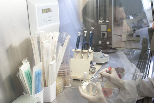 ИТОГИ ВНУТРИВУЗОВСКОЙ ОЛИМПИАДЫ  ПО МИКРОБИОЛОГИИ ДЛЯ СТУДЕНТОВ ЛЕЧЕБНОГО ФАКУЛЬТЕТА