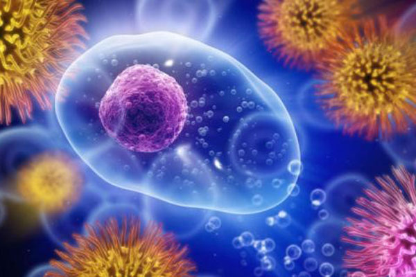 ПРИГЛАШАЕМ ПРИНЯТЬ УЧАСТИЕ В ОЛИМПИАДЕ ПО ДЕРМАТОВЕНЕРОЛОГИИ И ИНФЕКЦИОННЫМ БОЛЕЗНЯМ