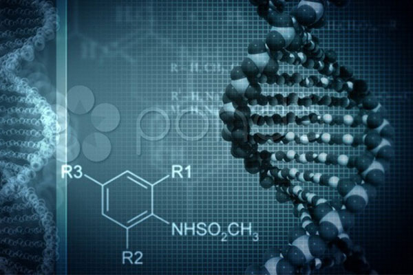 ОЛИМПИАДА ПО ДИСЦИПЛИНЕ 