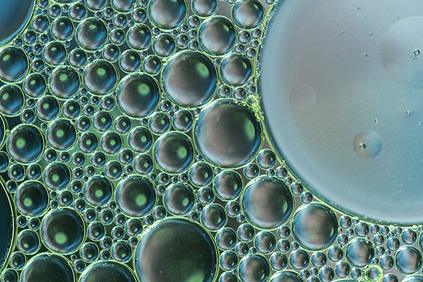 ИТОГИ XII КОНКУРСА ВНУТРИВУЗОВСКИХ ГРАНТОВ ДЛЯ МОЛОДЫХ УЧЁНЫХ РЯЗГМУ НА 2025 ГОД