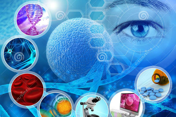 V ВСЕРОССИЙСКАЯ С МЕЖДУНАРОДНЫМ УЧАСТИЕМ СТУДЕНЧЕСКАЯ НАУЧНО-ОБРАЗОВАТЕЛЬНАЯ КОНФЕРЕНЦИИ «АКТУАЛЬНЫЕ ВОПРОСЫ СТУДЕНЧЕСКОЙ МЕДИЦИНСКОЙ НАУКИ И ОБРАЗОВАНИЯ»