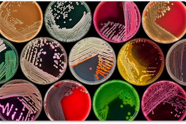 ЕЖЕГОДНАЯ КОНФЕРЕНЦИЯ ПО МИКРОБИОЛОГИИ