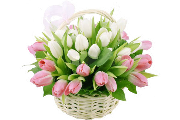 Поздравление ректора РязГМУ, профессора Романа Евгеньевича Калинина с Международным женским днем 