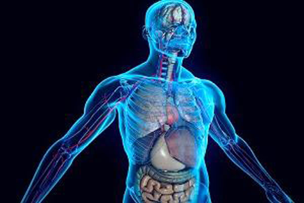 ИТОГИ ОЛИМПИАДЫ ПО ПАТОЛОГИЧЕСКОЙ АНАТОМИИ