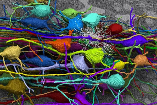 Итоги внутривузовской олимпиады по психиатрии и наркологии