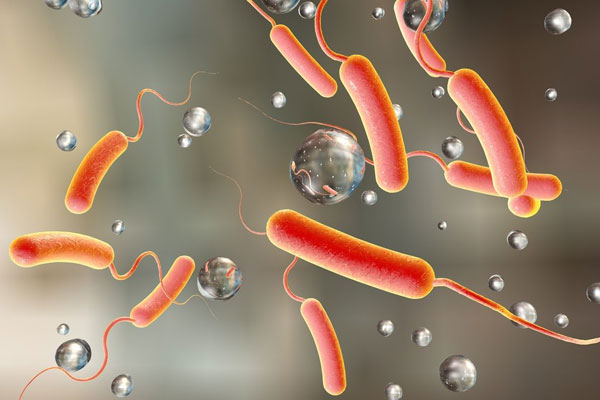 Микробиологи РязГМУ провели обучение для специалистов