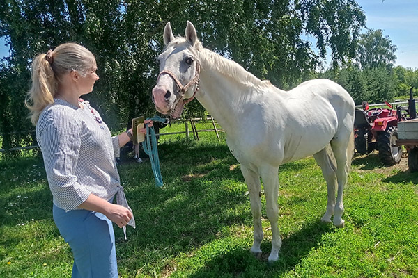 УЧЕНЫЕ РЯЗГМУ ПОМОГАЮТ СВОИМ КОЛЛЕГАМ ИЗ ВНИИ КОНЕВОДСТВА СОХРАНЯТЬ ВЫСОКОЦЕННОЕ ПЛЕМЕННОЕ ПОГОЛОВЬЕ ЛОШАДЕЙ