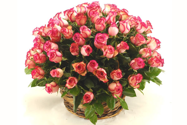 ПОЗДРАВЛЕНИЕ НАЧАЛЬНИКУ КАНЦЕЛЯРИИ Э.Б. КУРБАТОВОЙ С ЮБИЛЕЕМ