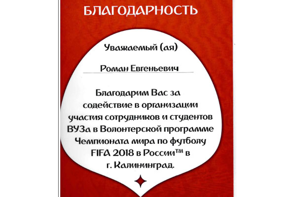 Лицо Чемпионата мира - волонтеры 