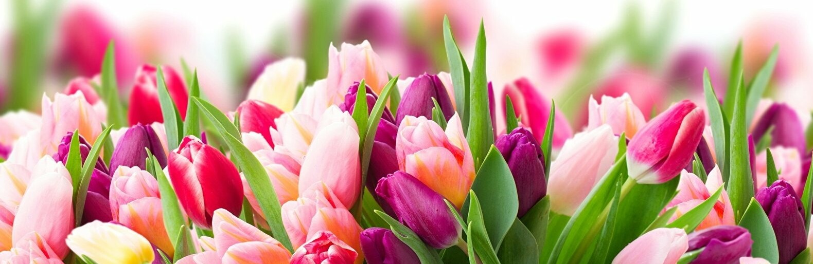 Поздравление с Международным женским днём!