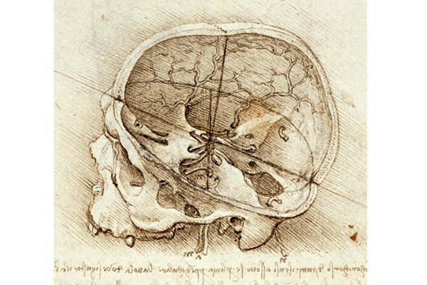 ИТОГИ ОЛИМПИАДЫ ПО ТОПОГРАФИЧЕСКОЙ АНАТОМИИ И ОПЕРАТИВНОЙ ХИРУРГИИ