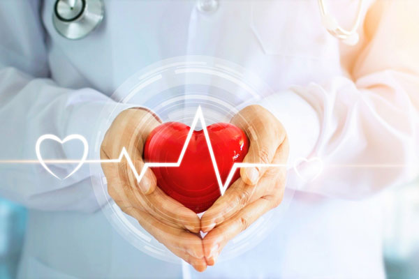 В САМОЕ СЕРДЦЕ