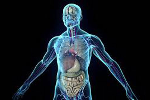 ОЛИМПИАДА ПО ПРОПЕДЕВТИКЕ ВНУТРЕННИХ БОЛЕЗНЕЙ