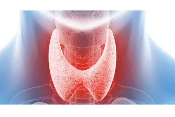 ПРИГЛАШАЕМ К УЧАСТИЮ В ОЛИМПИАДЕ ПО ЭНДОКРИНОЛОГИИ  