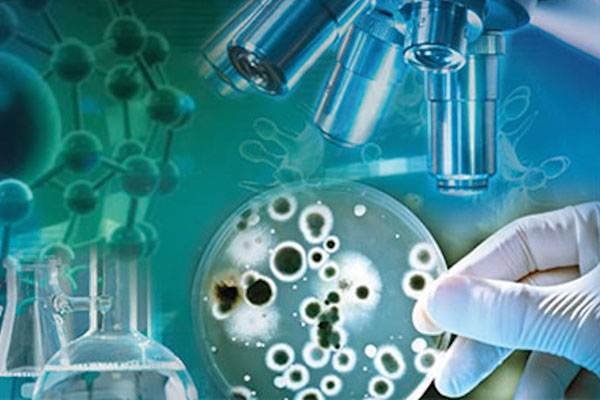 ВСЕРОССИЙСКАЯ НАУЧНО-ПРАКТИЧЕСКАЯ КОНФЕРЕНЦИЯ ПО МИКРОБИОЛОГИИ ПРОЙДЕТ В РЯЗГМУ