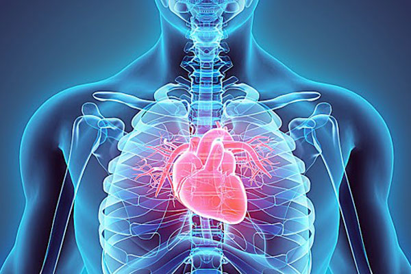 Олимпиада по топографической анатомии и оперативной хирургии