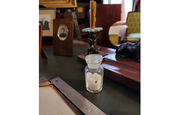 «СОВЕСТЬ РУССКОЙ ХИРУРГИИ» С РЯЗАНСКИМИ КОРНЯМИ