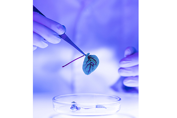 ОЛИМПИАДА ПО ПАТОФИЗИОЛОГИИ И ПАТОЛОГИИ