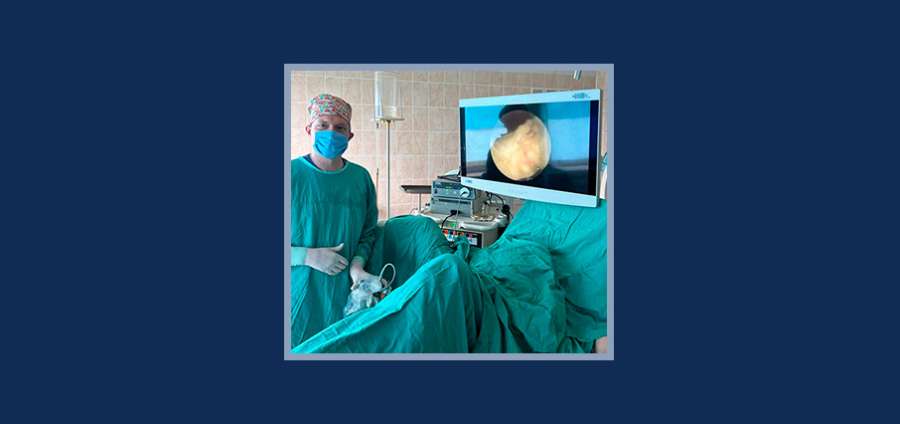 НАУЧНЫЕ РАЗРАБОТКИ РЯЗГМУ ВНЕДРЕНЫ В ПРАКТИКУ ЛЕЧЕНИЯ АДЕНОМЫ ПРОСТАТЫ 