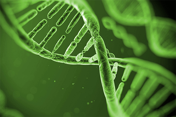 ВНИМАНИЮ  УЧАСТНИКОВ ЗАКЛЮЧИТЕЛЬНОГО ЭТАПА ОТКРЫТОЙ ОЛИМПИАДЫ ШКОЛЬНИКОВ ПО БИОЛОГИИ
