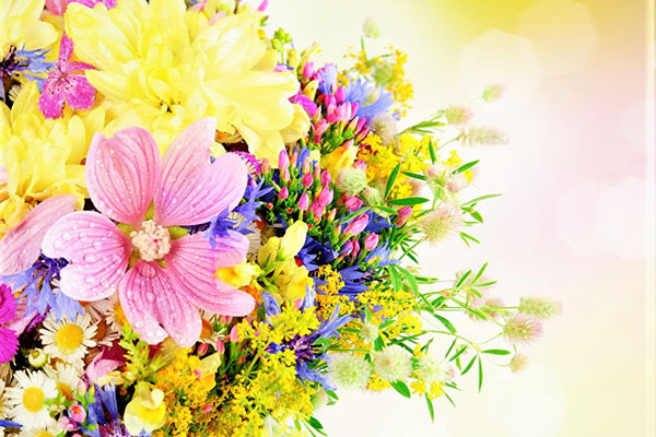 ПОЗДРАВЛЕНИЕ РЕКТОРА, ПРОФЕССОРА РОМАНА ЕВГЕНЬЕВИЧА КАЛИНИНА С 8 МАРТА