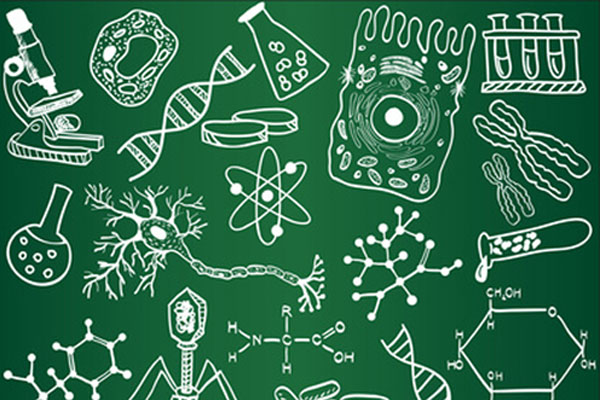 Приглашаем принять участие в олимпиаде по предмету «Биология»