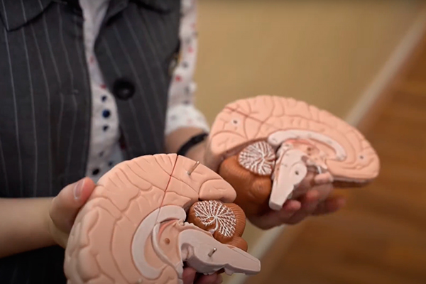 АКТУАЛЬНЫЕ ВОПРОСЫ ПСИХИЧЕСКОГО ЗДОРОВЬЯ ОБСУДЯТ В РЯЗАНИ