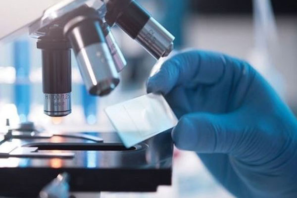 ОЛИМПИАДА ПО ДИСЦИПЛИНЕ 