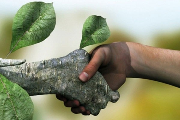 РязГМУ присоединился к Всероссийскому эко-марафону «Сдай макулатуру – спаси дерево»